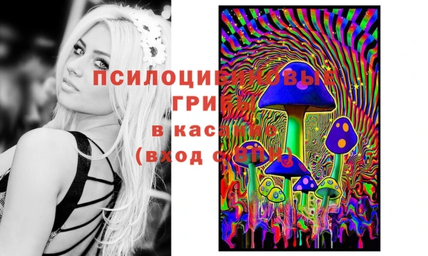 дмт Абаза