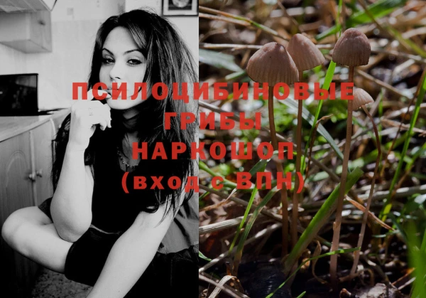 PSILOCYBIN Абдулино