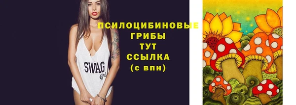 дмт Абаза