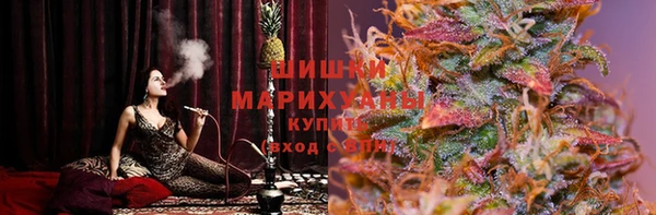дмт Абаза