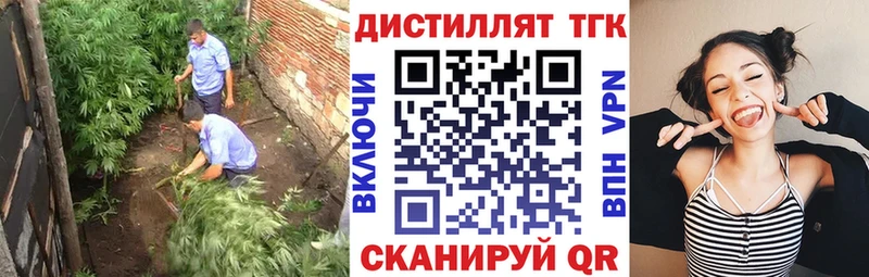 ТГК THC oil  Тарко-Сале 